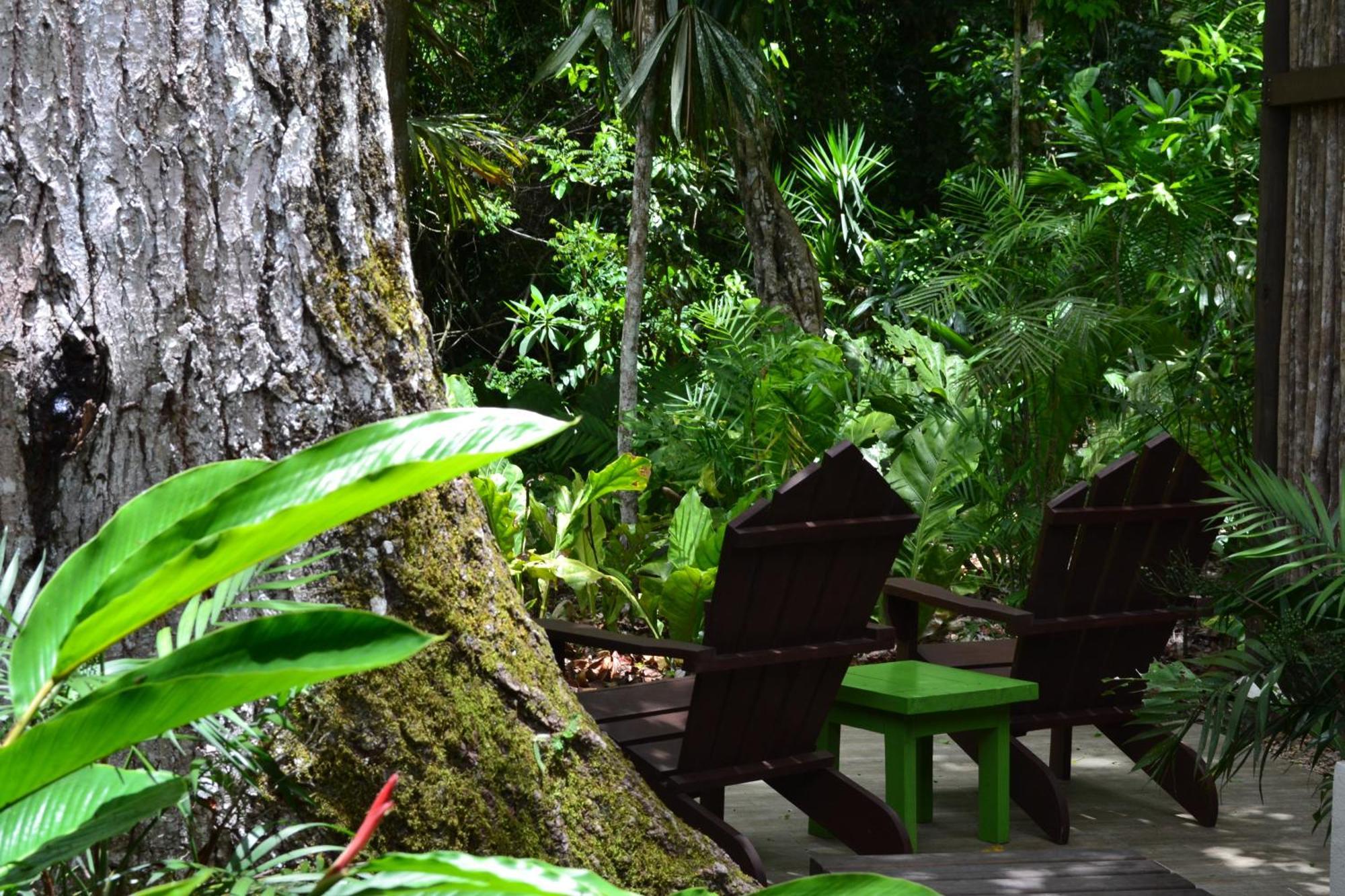 Hotel Jungle Lodge Tikal Oda fotoğraf
