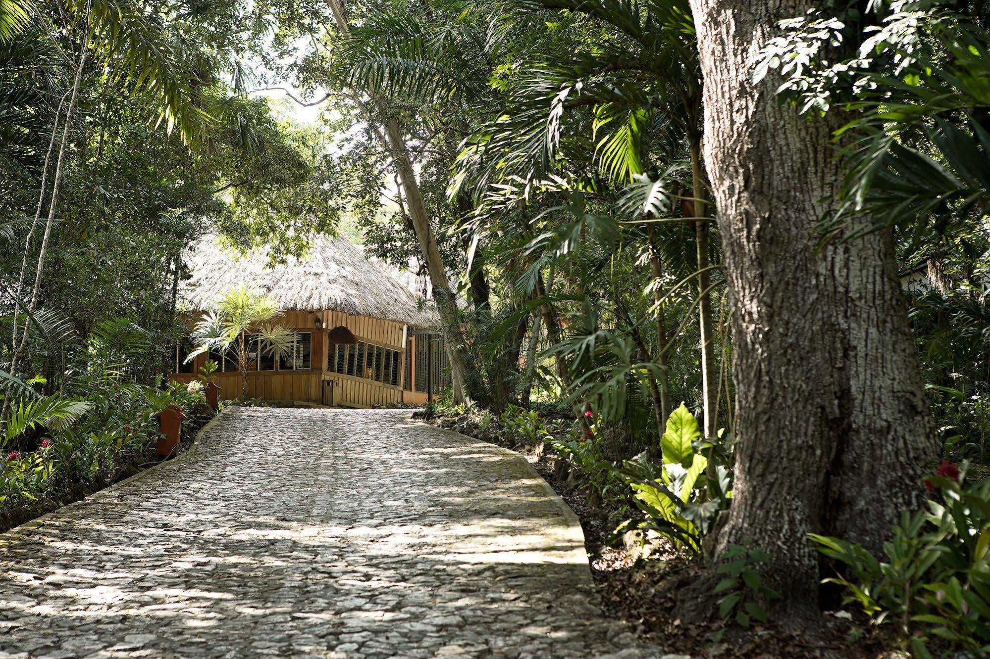 Hotel Jungle Lodge Tikal Dış mekan fotoğraf